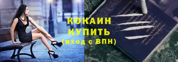 соль ск Краснослободск