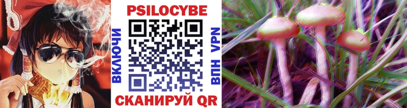 Псилоцибиновые грибы Psilocybine cubensis закладка Котельниково